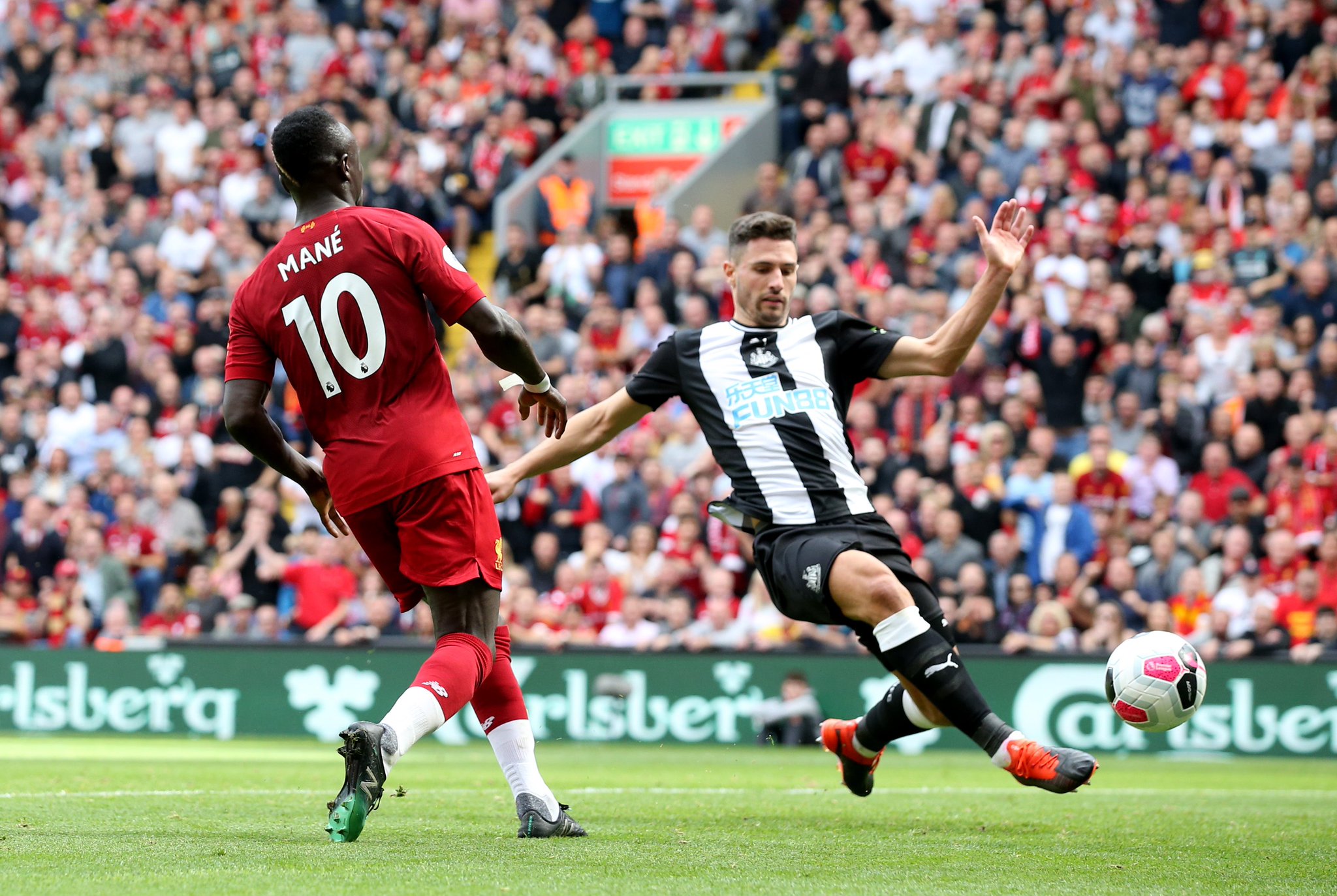 展示自己的 展示自己的